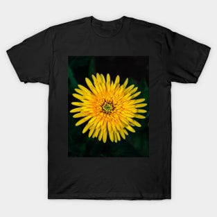 Yellow Harmony T-Shirt